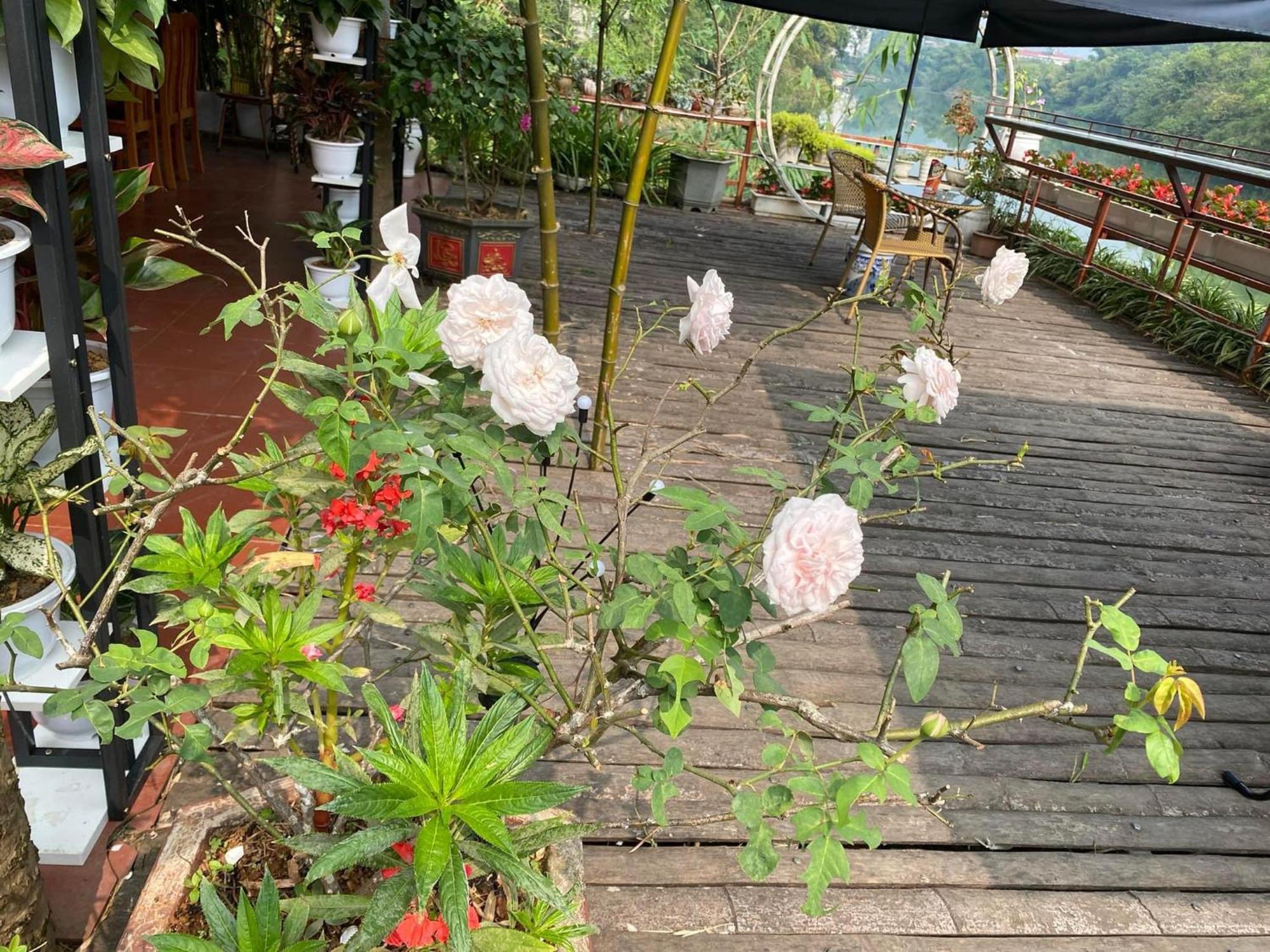 Garden Villa Homestay And Tour Motorbike&Car For Rent Ha Giang Exterior photo